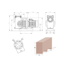 Bomba Saci Magnus 4 300 3 CV Trifásica para piscina pública